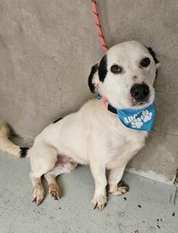 Fröhlicher Jonah - Eichenzell