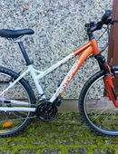 ♥️Fahrrad für Jungen Mädchen CENTURION Backfire fit 40 26 Zoll in 04317