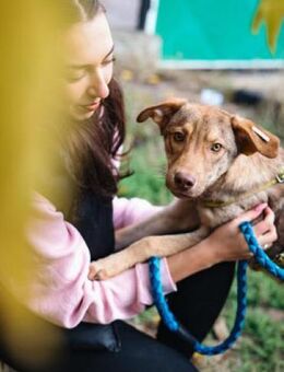 Quentin - für Fressen tu ich Alles - Berlin