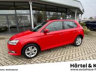 Skoda Fabia, 1.0 MPI Ambition ALLWETTER, Jahr 2018 - Braunschweig