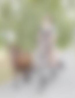 Hor*** - Falkenberg (Elster)