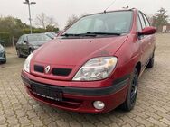 Renault Scenic RXE 1.6 16V - Vierlinden