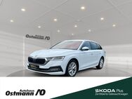 Skoda Octavia, Combi First Edition 110kw TDI, Jahr 2020 - Niestetal