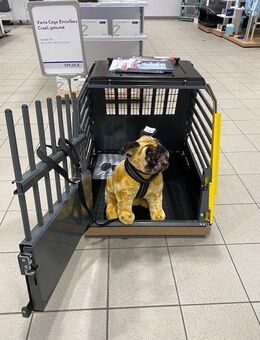 VW / Audi Hundebox Kleinmetall VarioCage fürs Auto *Borgmann* - Krefeld