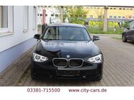 BMW 116 i Lim. 5-trg.*Bi-Xenon*PDC*Leder - Brandenburg (Havel)