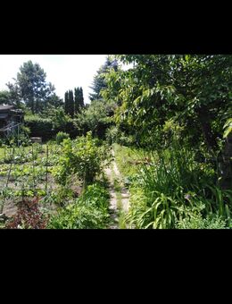 Garten zu verkaufen - Erfurt