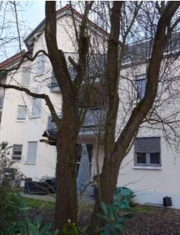 moderne Eigentumswohnung (ETW) in Hagenbach mit Terasse/ Garten - Hagenbach