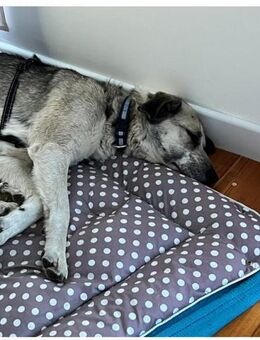 ❤️Freundliche Astria sucht dich ❤️ - Eislingen (Fils)