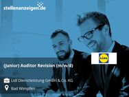 (Junior) Auditor Revision (m/w/d) - Bad Wimpfen