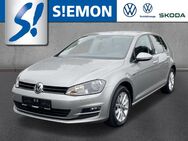 VW Golf, 1.6 TDI Lounge GSR, Jahr 2015 - Ibbenbüren