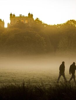 Single sucht Single - Bochum