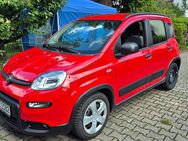 Fiat Panda zu verkaufen - Weinstadt