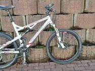 Bergamont Mountainbike - Lennestadt