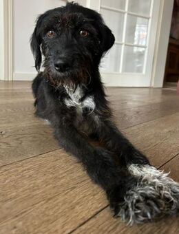 Dia, fröhlicher Sonnenschein, ca. 4 Jahr - Vaterstetten