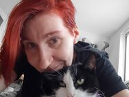 Tierliebe Vermieter gesucht! - Hösbach