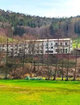 TOP Kapitalanlage - 28 % Rendite - Heiligkreuzsteinach