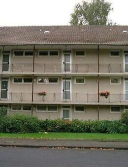 Single-Wohnung: 1- Zimmer-Wohnung - Bonn