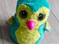 Hatchimal von Spin Master - Hamm