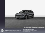 Ford Kuga, 1.5 EcoBoost Cool & Connect Wi-Pa, Jahr 2022 - Cottbus