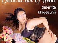 Sensual Erotisce Tantra Massage ULM - Ulm Zentrum