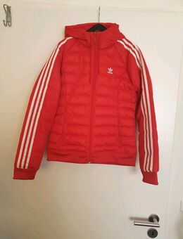 Adidas Originals Slim Padded Jacke (DH4585) - Hamburg