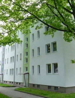 Altendorf! Stressfrei den Sommer auf dem Balkon genießen - Chemnitz