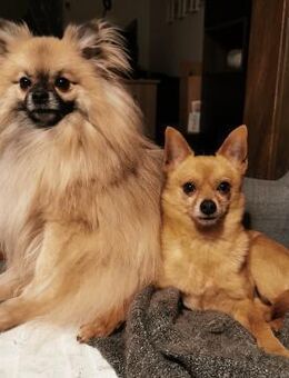 Duque & Flöhchen Unzertrennliches Duo - Eixen