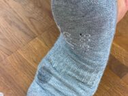 Saftige schwitzige Socken Bereits 5 Tage getragen - Hannover