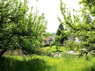 Grundstück mit Altbestand in Hang/Waldrandlage für Naturliebhaber in Altenstadt/Iller - Altenstadt (Regierungsbezirk Schwaben)