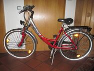 Alu City - Mädchen - Fahrrad ( PEGASUS ) - Germering