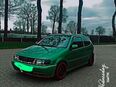 Polo 6n in 49762