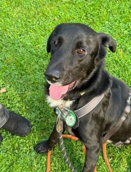 Jasko möchte mit die Welt entdecken. - Hagen (Stadt der FernUniversität)