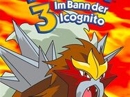Pokemon Im bann der Incognito - Hamm