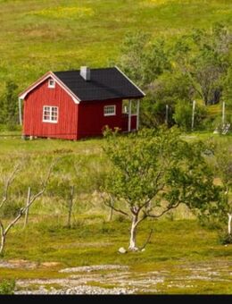 Urlaubsbegleitung - Kaarst