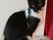 🆘 Süsse Schwestern Ina & Yana🆘 - Eislingen (Fils)