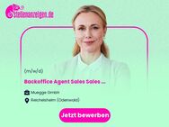 Backoffice Agent Sales (m/w/d) Sales & Marketing - Reichelsheim (Odenwald)