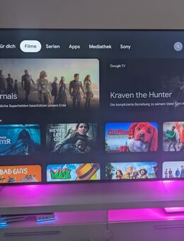 Sony Bravia 4k vh22 - Sankt Wendel
