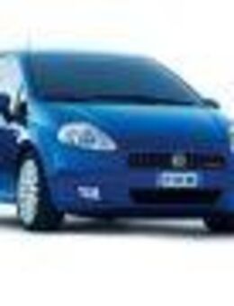 FIAT Grande Punto als Teileträger - Neumarkt (Oberpfalz) Zentrum