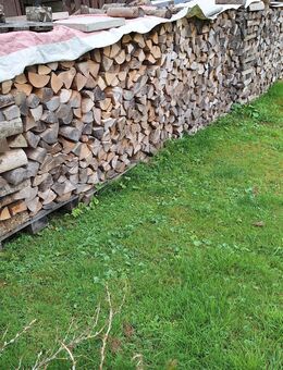 Brennholz Buche/Esche - Steinheim