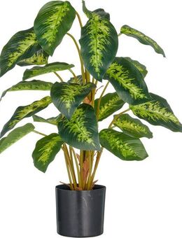 Kunstpflanze Dieffenbachia reeva, Creativ green, Höhe 65 cm, mit schönem Blattwerk