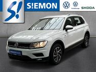 VW Tiguan, 2.0 TDI Join, Jahr 2019 - Ibbenbüren