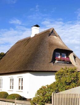 Schlei-Nähe, gemütliche Reetdachkate - Rieseby