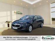 Skoda Octavia, 1.5 TSI Combi e-TEC Style, Jahr 2023 - Stendal (Hansestadt)