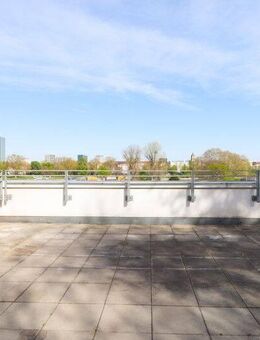 Sonnenverwöhntes Penthouse mit großzügiger Dachterrasse und exklusivem Ambiente - Ludwigshafen (Rhein)