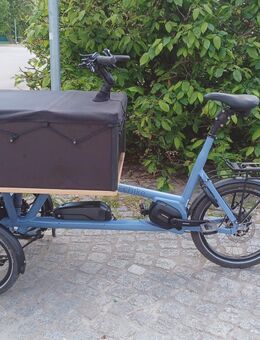 Verkaufe cargo ebike - Naumburg (Saale)