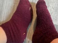 Warme Kuschelsocken - Neunkirchen (Saarland)