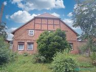 Bauernhaus mit Stallungen und großem Gartenbereich-direkt am Elbdeich! - Lenzerwische