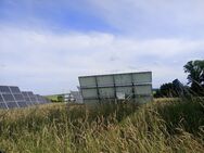 Solar/ Weideflächen zum mähen abzugeben - Arnstein (Bayern)