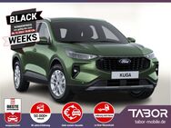 Ford Kuga, 1.5 EB 186 A8 Tit PrivG, Jahr 2024 - Kehl