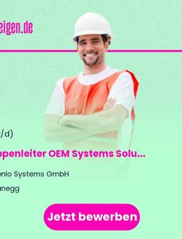 Gruppenleiter OEM Systems Solutions (m/w/d) - Planegg